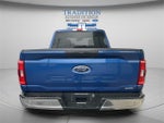 2023 Ford F-150 XLT 4WD SuperCrew 5.5' Box
