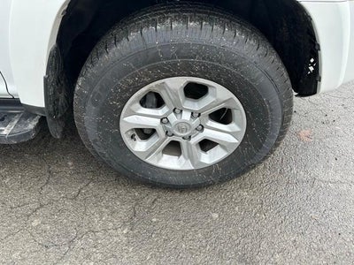 2024 Toyota 4Runner SR5 Premium 4WD (Natl)